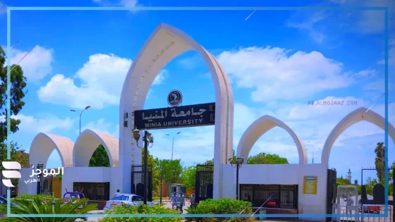 مكافآت جامعة المنيا