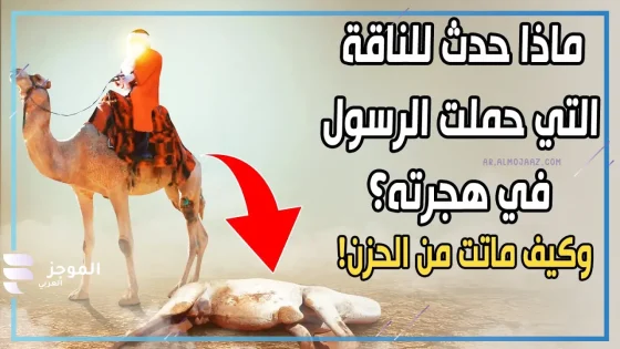 كيف ماتت ناقة رسول الله