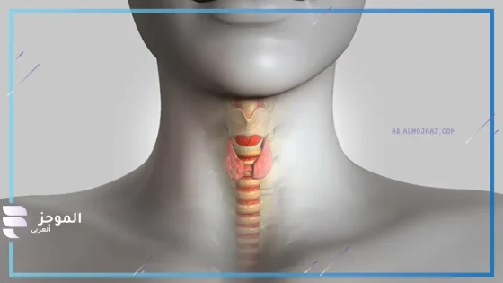 معلومات عن خمول الغدة الدرقية: الأعراض الأسباب طرق العلاج