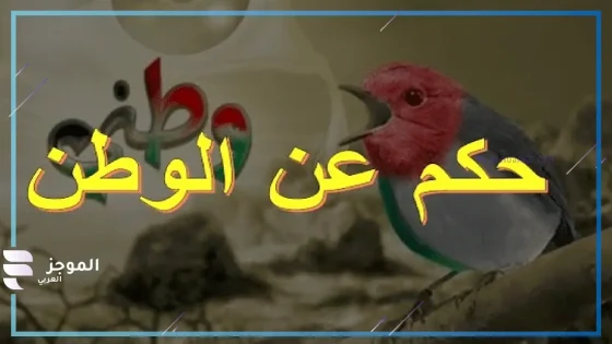 حكمة عن الوطن اذاعة مدرسية مكتوبة