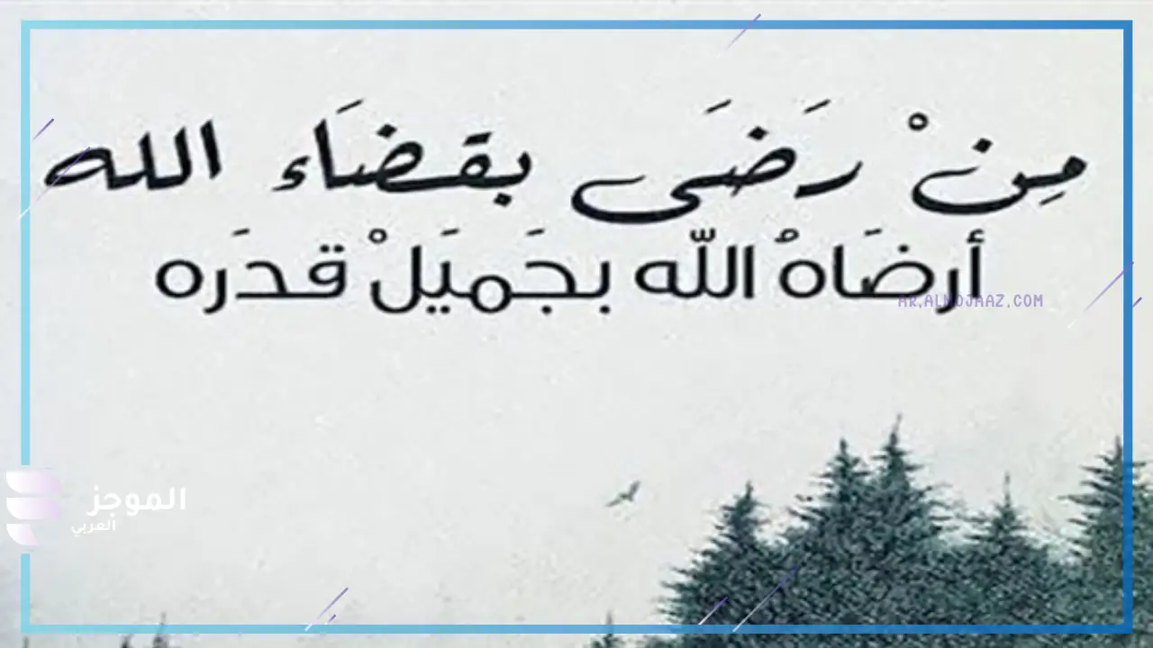 اجمل ما قيل عن الرضا بقضاء الله وقدره تويتر